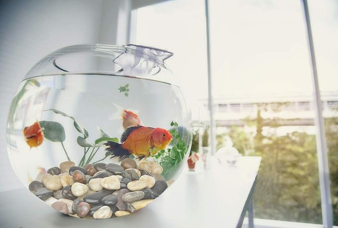 Mr. Fireglass Natural Polished Pebbles, 1 Inch Decorative Mixed Color Stones Aquarium Gravel River Rocks for Vase, Succulents, Landscaping and Home Decor (10-lb Bag)