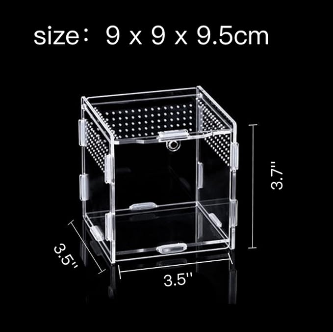 Magnetic Acrylic Case, micro habitat small Tarantula Enclosure enclosure for arboreal Tarantula Scorpion Sling Lizards Mantis Snake Gecko jumping spider snail Insect Isopods (3.5*3.5*3.7inch)