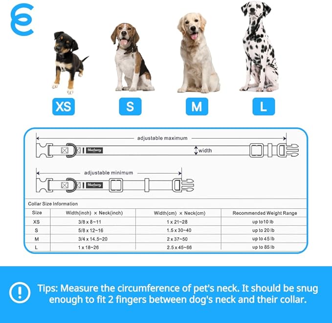 Blueberry Pet Essentials X-Small Dog Collar in Dark Orchid | Adjustable & Eco-Friendly Durable Nylon Strap | Classic Collar for X-Small Dogs, Boy & Girl Pets