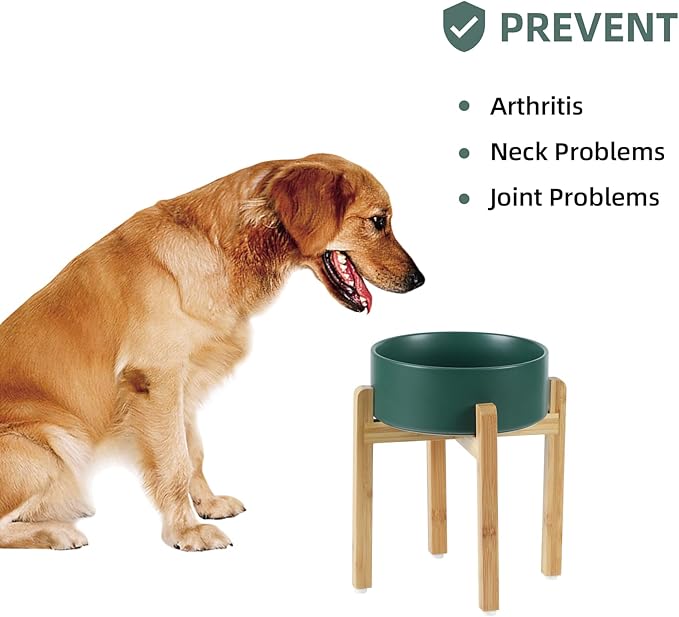 Ceramic Raised Dog Bowl Set, Elevated Dog Bowl with Stand, Food and Water Bowl for Large Breed Dogs, Weighted Dog Dishes, Pet Bowl(8.2'',60OZ, Green)