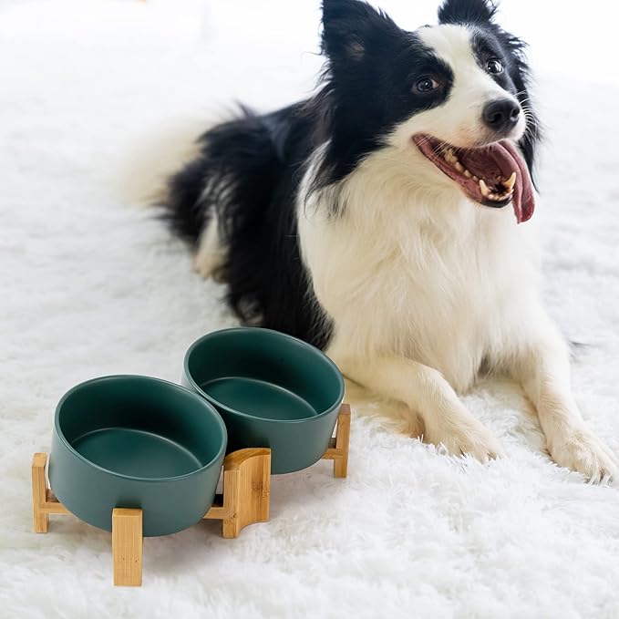SPUNKYJUNKY 15° Slanted Ceramic Dog and Cat Bowl with Wooden Stand, Tilted Bulldog Food and Water Bowl No Slip Non-Spill for Cats Medium Dogs Big Face Pets 28.7 OZ (3.6 Cups, Green × 2)