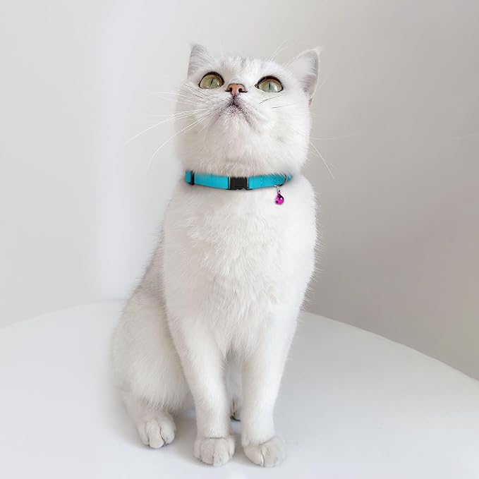 Breakaway Cat Collar Leather with Removable Bell - 13 Colors Available - Soft Adjustable Girl Boy Safety Lightweight Pet Kitten Collars Pink Brown Blue Green Red Orange Black (Cognac)