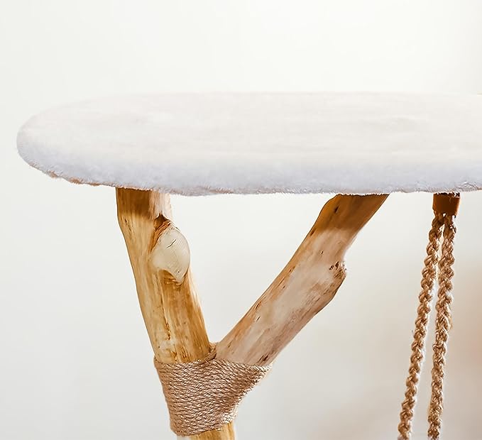 50" Tall Cat Tree Tower, Modern Cat Tree for Indoor Cats, Washable Wooden Perchs and Climbers for Large Cats, Cute Cat Furniture with Unique Cat Swing