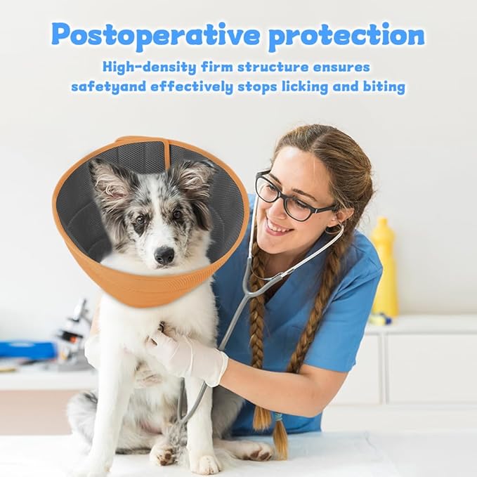 Inspack Soft Dog Cone Collar Alternative, E Cones for Small Dogs/Cat/Puppy to Stop Licking after Surgery, Comfortable All Paws Comfy Elizabethan Collars, Neuter Recovery Ecollars of Shame Alternatives