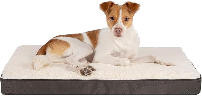 Best Pet Supplies Cute Dog Crate Mat Flat Bed with Waterproof Exterior, Thick Orthopedic Egg Foam Mattress, and Soft Sherpa Fleece Cover for Small, Medium, and Large Breeds - Brown, 35X22X4