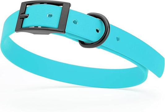 Dogline Biothane Waterproof Dog Collar Strong Coated Nylon Webbing with Black Hardware Odor- Proof for Easy Care Easy to Clean High Performance Fits Small Medium or Large Dogs, Sky Blue