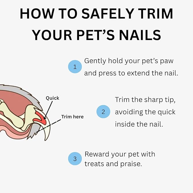 AIXINPET Dog & Cat Nail Clippers and Trimmers - with Free Nail File, Protective Guard to Avoid Over Cutting, Extra Sharp Blade - Suitable for Small to Large Dogs & Cats, Birds and Rabbits (Large)