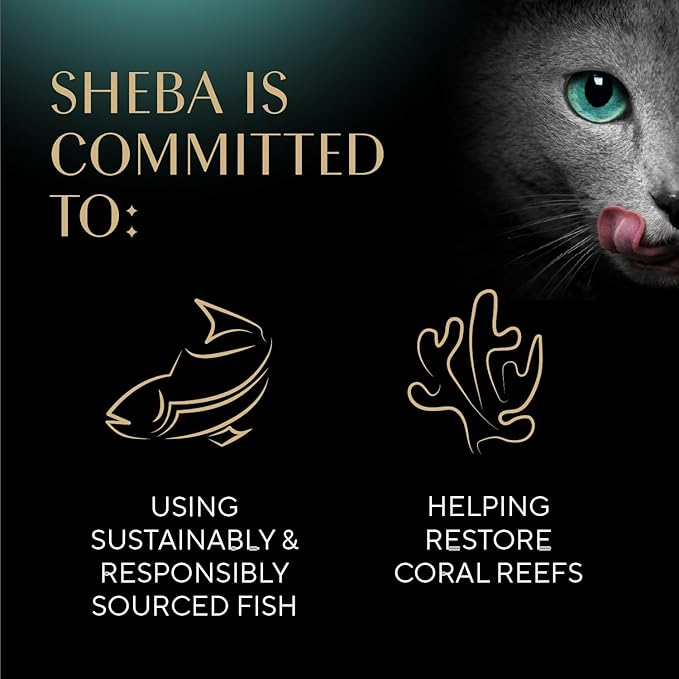 Sheba Perfect Portions Wet Cat Food Cuts in Gravy Variety Pack, with Sustainable Tuna and with Sustainable Salmon, 2.6 oz. Twin-Pack Trays (12 Count, 24 Servings) (Pack of 2)