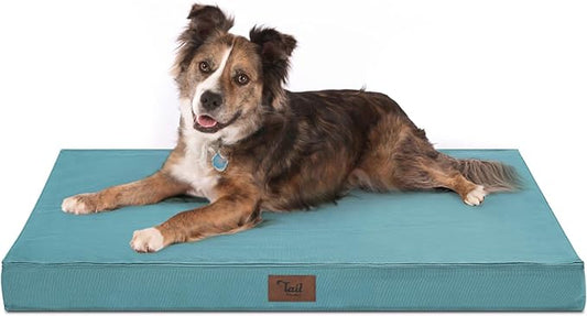 Orthopedic Dog Bed for Large Dogs, Big Waterproof Washable Dog Bed for Large Sized Dogs with Egg Crate Foam Pet Bed Mat, Removable Oxford Cooling Cover, Light Blue