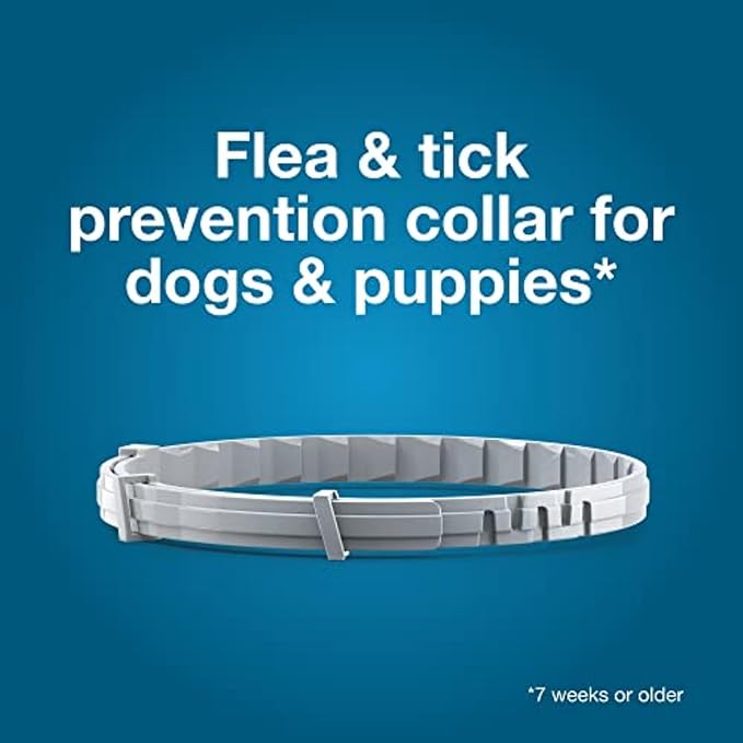 Seresto Large Dog Vet-Recommended Flea & Tick Treatment & Prevention Collar for Dogs Over 18 lbs. | 2-Pack