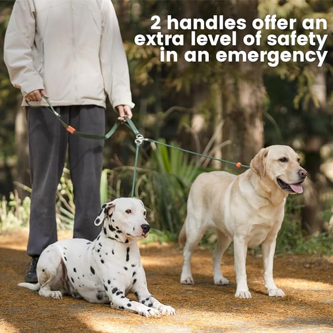 Howgo Double Slip Leash Slip Lead with Two Handles| Dual Dog Slip Lead for 2 Dogs,360° Swivel No Tangle | Dog Training Collar | Double Clip Leash Coupler and Splitter (Multicolor, 6FT)