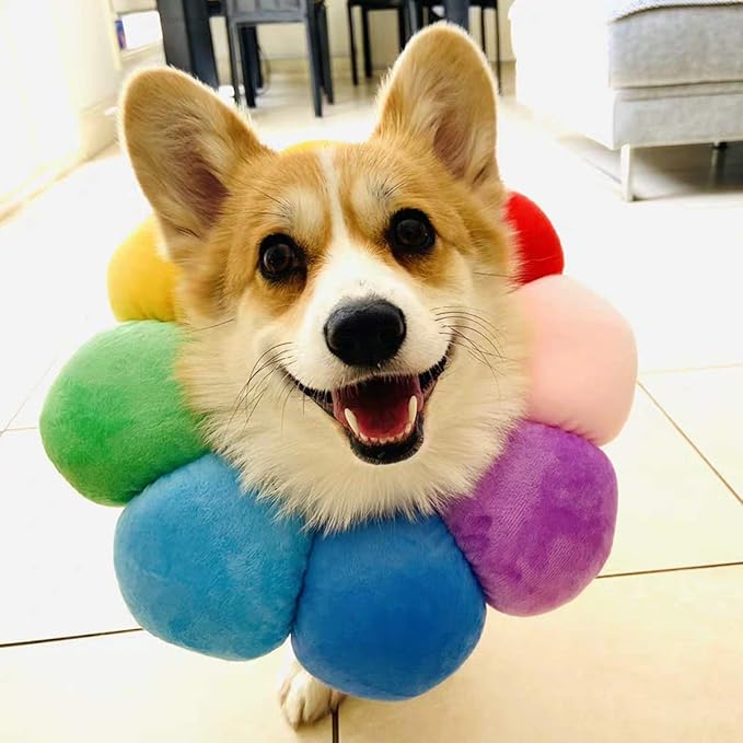 KUDES Cat Small Dog Recovery Collar, Cute Neck Cone After Surgery, Adjustable Pet E Collar, Wound Healing Protective Cone Surgery Recovery Elizabethan Collars for Small Pet (M(within 9.5lb), Colorful)