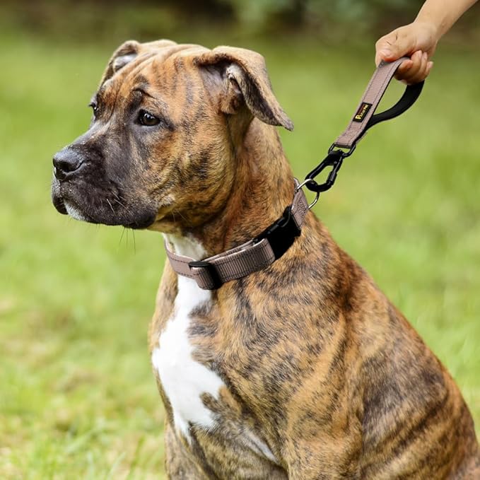 PLUTUS PET Short Dog Leash, Reflective Nylon Padded Handle, Strong Traffic Leash with Carabiner Clip, Perfect for Large or Medium Dogs (10”，Beige)