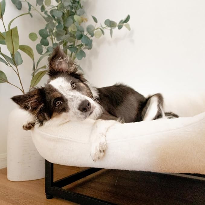 FUZI Luxury Aesthetic Dog Bed for Large Dogs with Washable Cover, Pet Couch, Pet Bed with Sides, Non-Slip Bottom, Soft and Durable Calming Dog Bed, Faux Rabbit Fur, Large 35.6x28.5x9.5 Soft White
