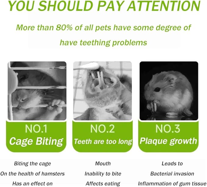 400g 5 Guinea Pig Toys Apple Sticks, Tissimo Grass Sticks, Sweet Bamboo, Papaya Stems, Carrot Sticks Pertain Chinchilla Squirrel Gerbil Hamster Squirrel Guinea Pigs