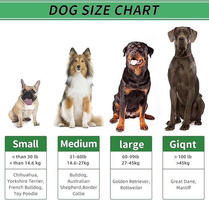 Christmas Dog Gifts, Dog Toys for Small Dogs Dog Toothbrush for Teething Cleaning, Rubber Squeaky Toys for Puppy