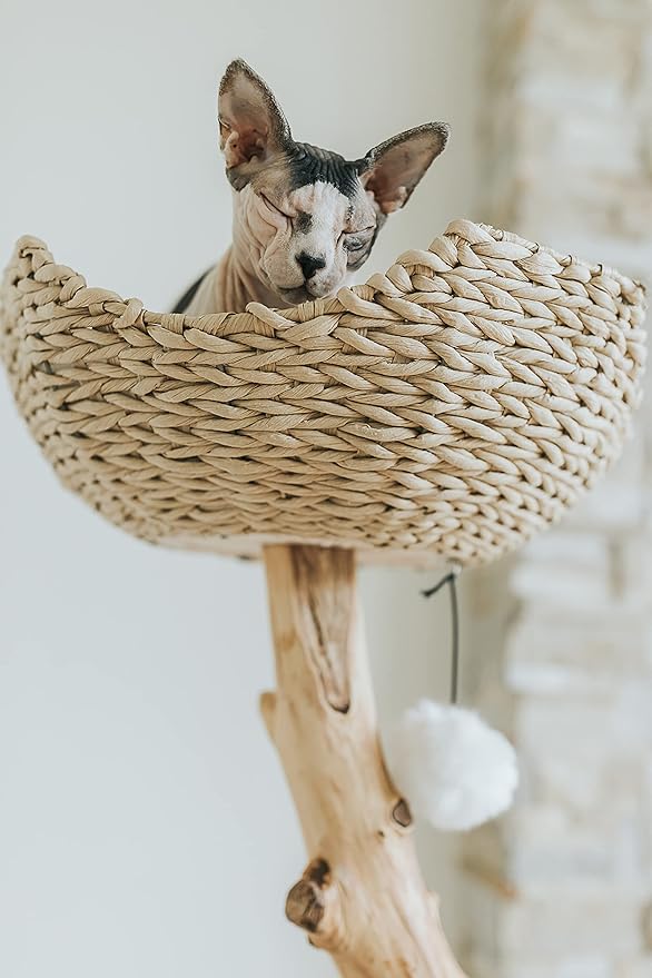 Wooden Cat Climbing Tree Tower, Modern Single Branch Cat Condo, Wood, Cat Lover Furniture Gift by MAU LIFESTYLE (Alpine White)