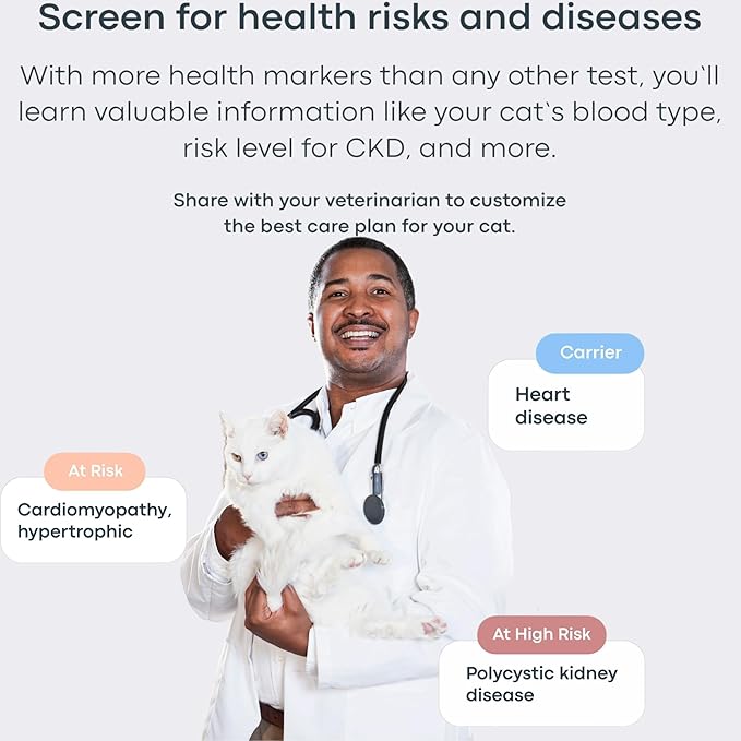 Basepaws Cat DNA Test Kit 2 Pack- Comprehensive Breed, Health and Dental Analysis Across 114 Traits for Accurate and Easy-to-Use Genetic Insights