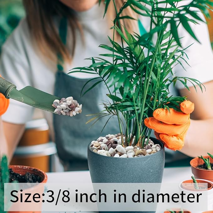 10 lbs Colorful Pebbles Pea Gravel for Landscaping, 3/8 Inch Decorative River Rocks for Plant Indoor Succulent Cactus Vase Garden and Plant Pots