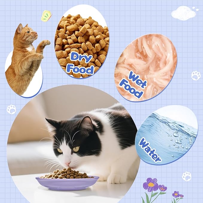 [8 Pack] Ceramic Cat Food Bowl, Colorful Cat Bowls Whisker-Friendly, 5.9" Shallow Wide Kitten Plates, Easy to Clean Indoor Feeding Dishes