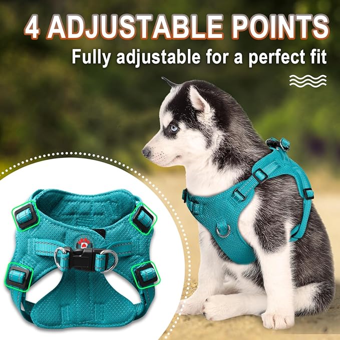 Dog Harness Step in Dog Vest Harness, Reflective Adjustable Puppy No Pull Harness Breathable Soft for Small and Medium Dogs Cats, Ocean Blue, S