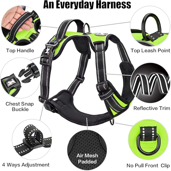 PoyPet No Pull Dog Harness, Reflective Comfortable Vest Harness with Front & Back 2 Leash Attachments and Easy Control Handle Adjustable Soft Padded Pet Vest for Small to Large Dogs (Green,L)