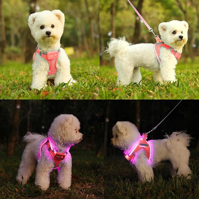 Light Up Dog Harness,Rechargeable LED Dog Harness for Small Medium Large Dogs,Reflective Lighted Safety Vest for Night Walking & Camping,Lightweight & Adjustable,Fluorescent Pink,XS