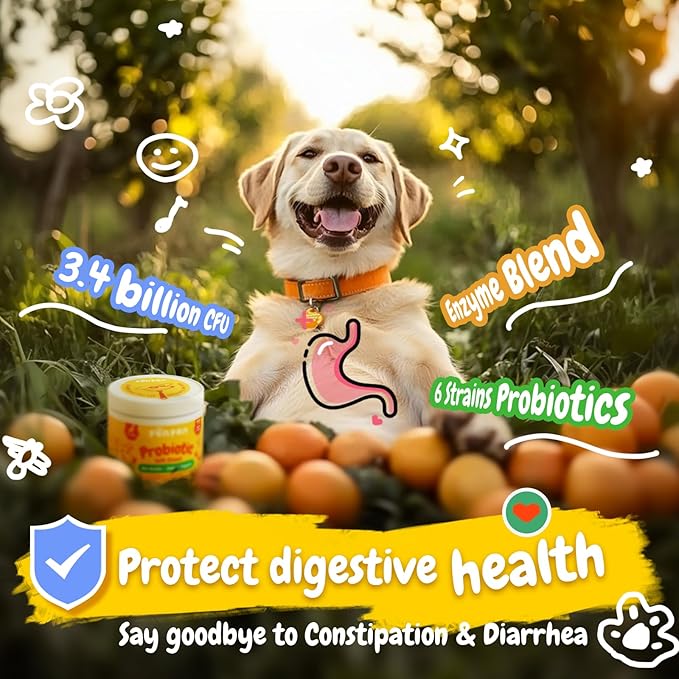 Penpen Probiotics for Dogs, Dogs Probiotics for Digestive Health, Multi-Probiotic and Enzyme Blend Promote Gut Health & Immune Support, Eases Sensitive Stomachs (Beef Chews, 50ct)