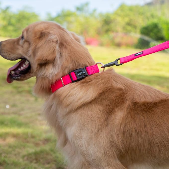Hyhug Pets Classic Regular Heavy Duty Nylon Dog Collar with Easy to Put On & Off Buckle. (Small, Hot Pink)