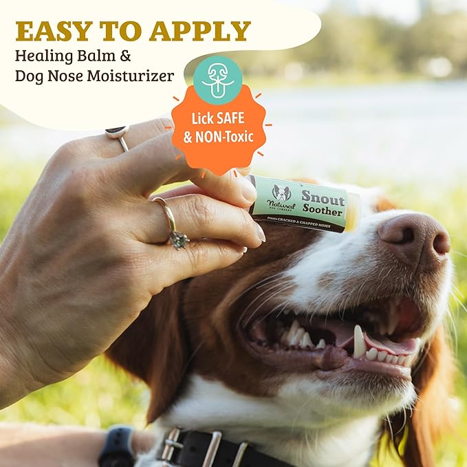 Natural Dog Company Snout Soother, Dog Nose Balm, Wax & Cream for Dry, Cracked Noses, Heals & Moisturizes with Shea Butter & Coconut Oil, Lick-Safe Nose Butter, Made in USA, 0.15 oz. Stick