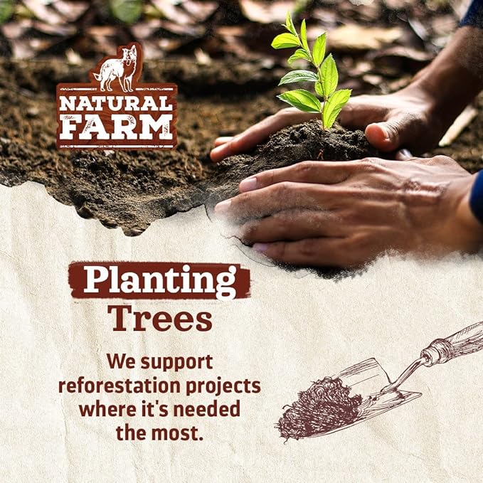 Natural Farm Bully Sticks (6 Inch, 30 Pack), Thin Pizzle Pixie Beef Treats, Grain-Free, High Protein, Best Rawhide Alternative for Small, Puppies or Senior Dogs