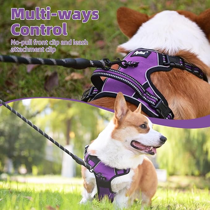 PUPTECK No Pull Dog Harness for Large, Adjustable Reflective Dog Harness with Handle Easy Control, Comfortable Soft Padded Pet Vest Harness for Large Dogs, Solid Purple L