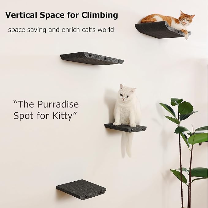 Wall Mounted Cat Shelves and Perches,Scratchable Cat Beds & Furniture for Indoor Cats, Soft PET Felt Feline Climbing Wall Set, Modern Jungle Gym System for Lounging and Sleeping (Set of 4-Grey)