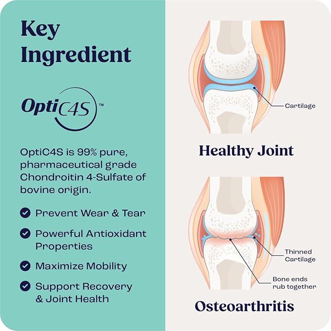 Summit Canine Joint and Mobility Supplement for Medium Dogs, All Natural Liquid Chondroitin, Liposomal Delivery for Arthritis, Hip & Joint Support Vitamin, (Dogs, 25-75lbs)