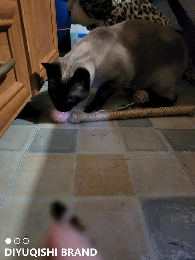 50-Pack Soft Cat Toy Balls – Fun Playtime & Exercise for All Cats (1.5 inch, Cat Toys Mega Set)