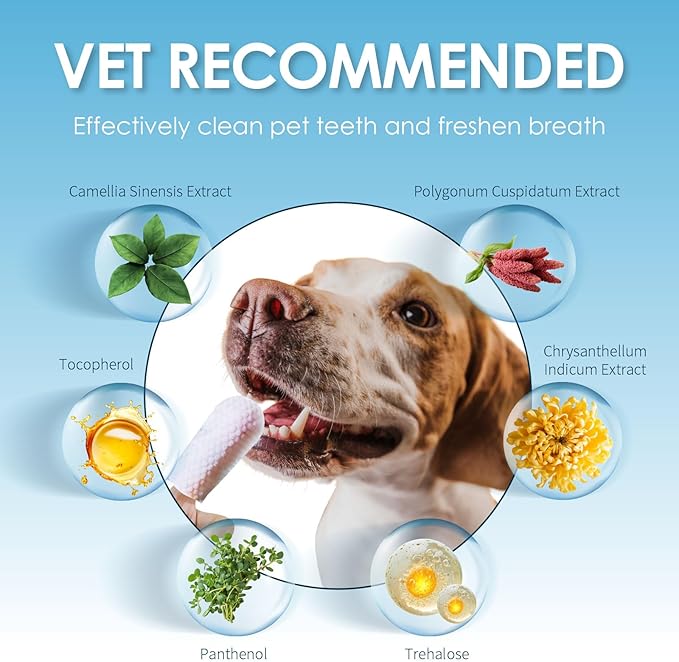 Mooncat Dental Finger Wipes for Dogs & Cats - Easy Teeth Cleaning to Remove Plaque, Tartar & Freshen Bad Breath - Gentle Tooth Wipes for Puppy & Kitten Care - 40 Counts