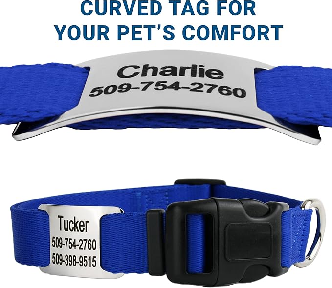 GoTags Personalized Dog Collar with Nameplate, Adjustable Dog Collar with Custom Engraved Slide On Pet ID Tag in Stainless Steel, Silent, No Noise Dog Tag for Large Medium and Small (Blue, Medium)