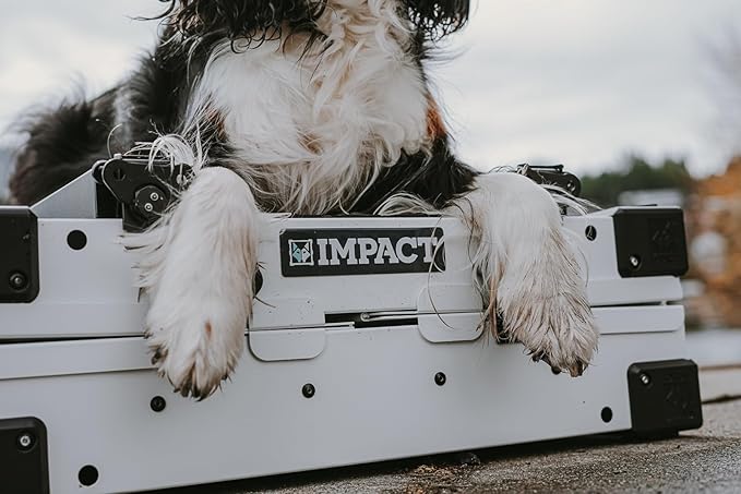 Impact Collapsible Dog Crate - Foldable Hard Crate for Large Dogs - Heavy Duty Travel Kennel with Powder-Coated Aluminum - Quick Setup for Indoor & Outdoor (White, 40" (40.5" L x 23" W x 29" H))