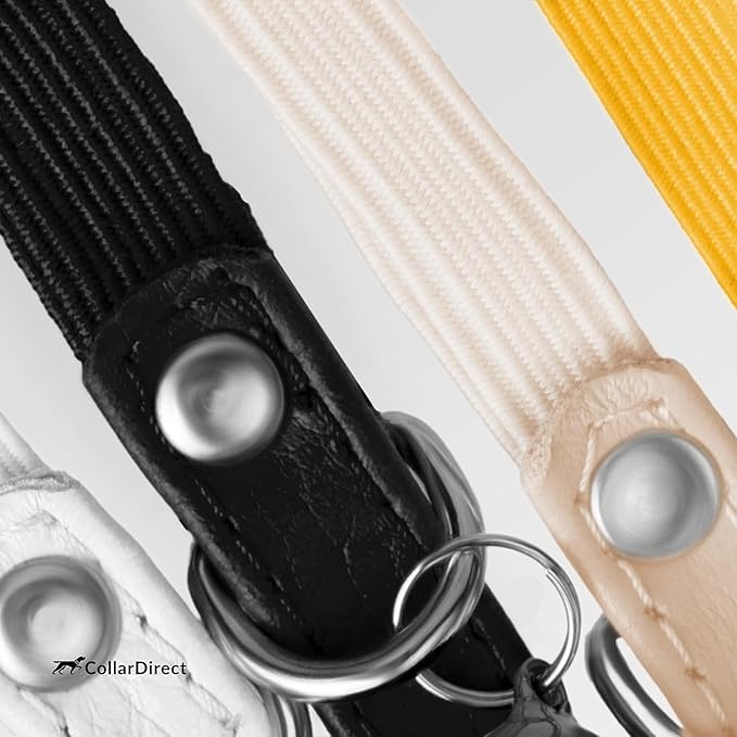 CollarDirect Leather Cat Collar, Kitten Collar with Removable Bell Black Blue Red Orange Lime Green (8-11 Inch, Light Blue)