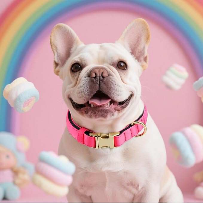 Didog Soft Padded Dog Collars for Small Dogs, Colorful and Durable Dog Collar with Quick Release Buckle, Light and Breathable for Daily Walking, Pink, S