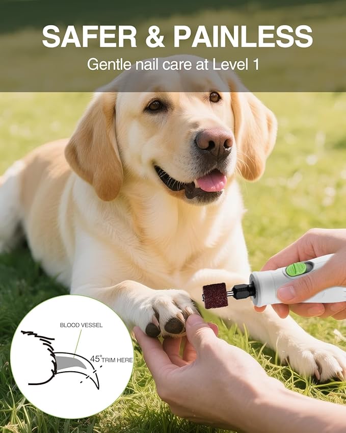 WORKPRO 6-Speed Dog Nail Grinder, Pet Nail Grinder for Small, Medium, and Large Dogs and Cats, 70 Accessories Rotary Tool with Type-C Charging Cable and Storage Bag for Sanding, Carving, and Polishing