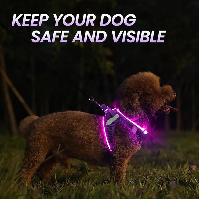 PceoTllar Light Up Dog Harness, LED No Pull Reflective Dog Harness, Flashing Lighted for Night Walking - Small/Medium, (Purple,XS)