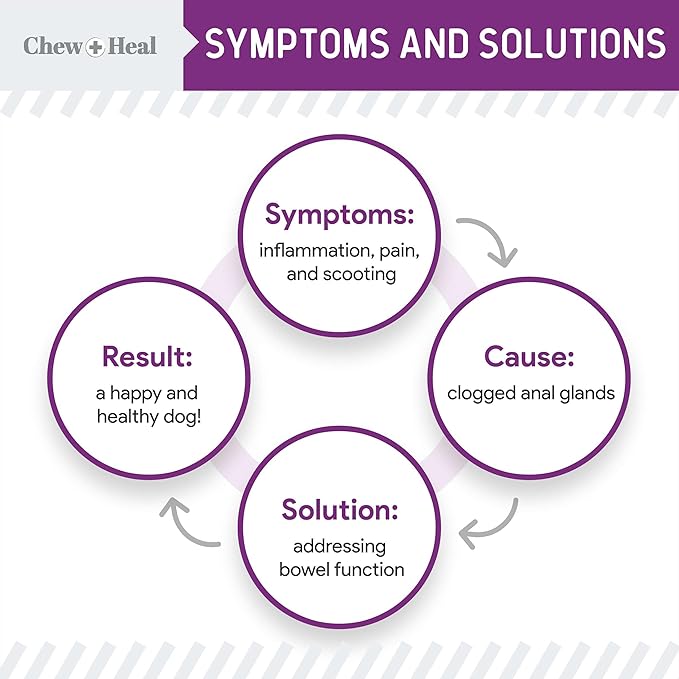 Glands Bowel Support - 14 oz of Stop The Scoot Powder for Scooting, Healthy Anal Glands, and Digestive Health - Made with Pumpkin Powder for Dogs