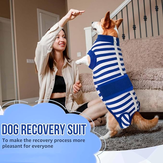 Lukovee Recovery Suit for Dogs, Zipper On Recovery Suit for Female Male Dog, Onesie Abdominal Wounds Cone E-Collar Alternative Prevent Licking Spay Recovery Suit (Medium, Blue & White)