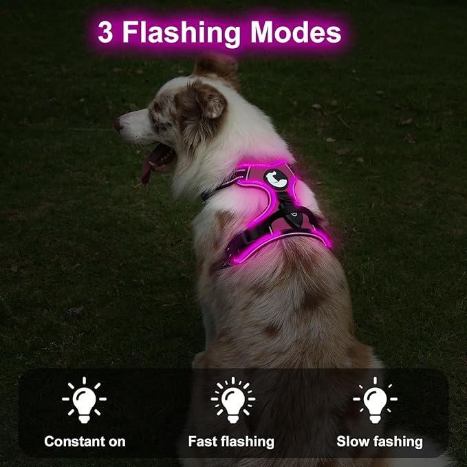 Taglory Light Up Dog Harness, Rechargeable No Pull Dog Vest with 3 Lightning Modes, Reflective Dog Harness with 2 Leash Clips & 4 Adjustable Slide Strips for Medium Dogs, Hotpink-Hotpink, M