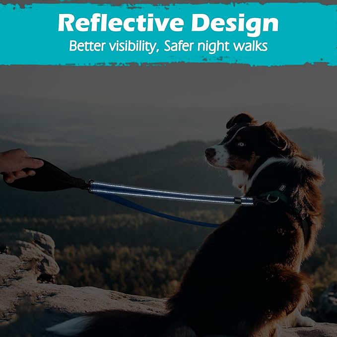 PetBonus Two Point Control Dog Leash, Works with No Pull Harnesses, No Tangle Dog Training Leashes, No Pull Padded and Reflective Walking Lead, Converts to Single Leash for Medium Large Dogs (Blue)