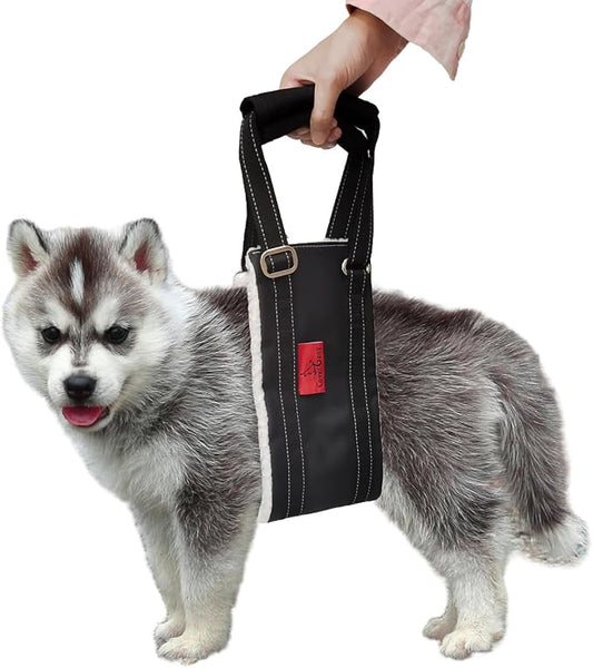 Leather Dog Lift Harness for Small Dogs,Doggie Walking Sling,Puppy Belly Support Strap,Pet Assist Harness for Senior,Injured,Disabled Dogs After ACL Surgery S