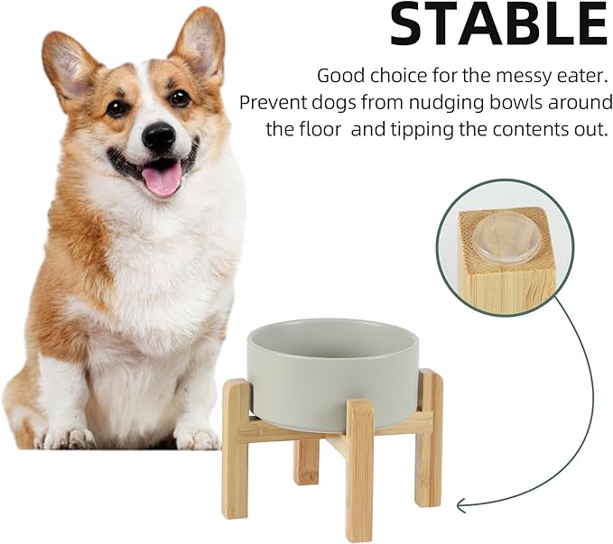 Ceramic Raised Dog and Cat Bowl Set, 2 Heights Elevated Stand, Food and Water Bowl for Small Breed Dogs, Weighted Dog Dishes, Pet Bowl(6.1'',28.7oz, Grey)