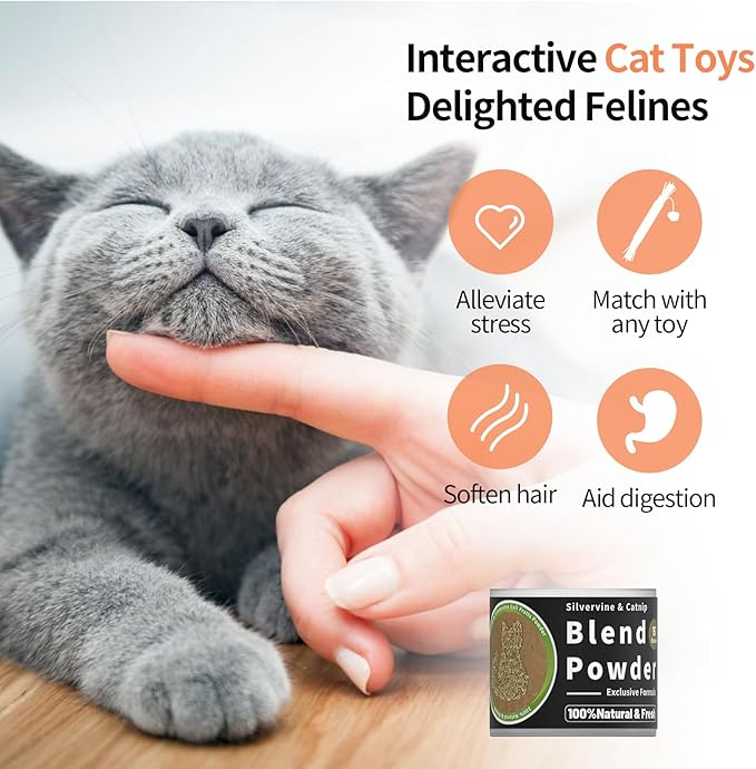 Catnip & Silvervine Powder – 15g Blend of Silver Vine Gall Fruit & Pure Catnip, Non-Addictive, Suitable for All Cat Ages, Multi-Play Use for Cat Toys, Scratchers & Protecting Furniture
