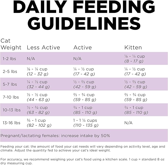 Go! Solutions Carnivore, Grain-Free, Protein Rich Dry Cat Food, Chicken, Turkey and Duck Recipe, 3 lb Bag